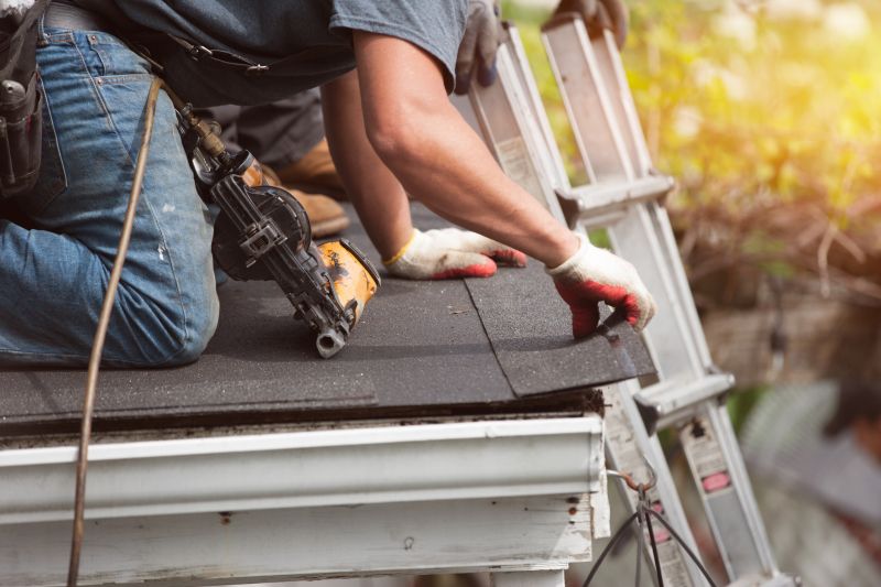 Handyman Roof Services