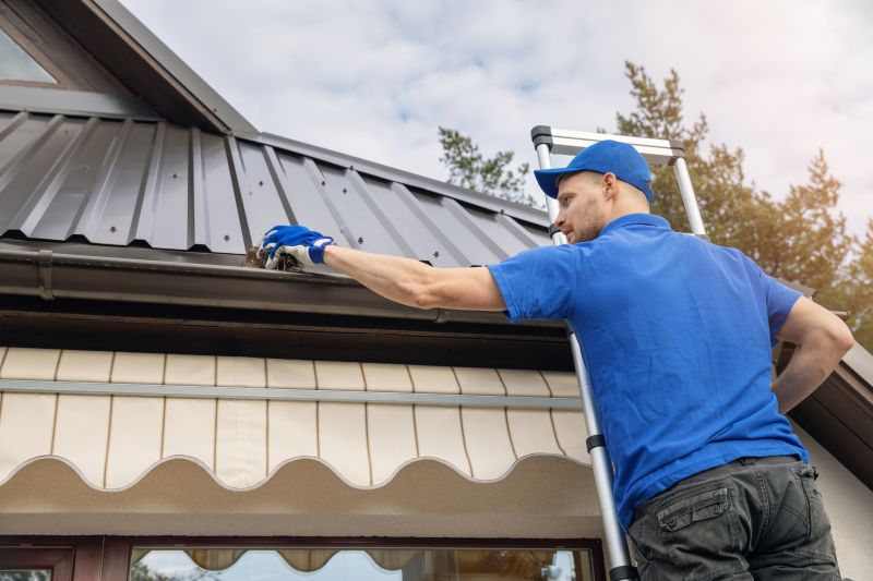 Gutter & Roof Care