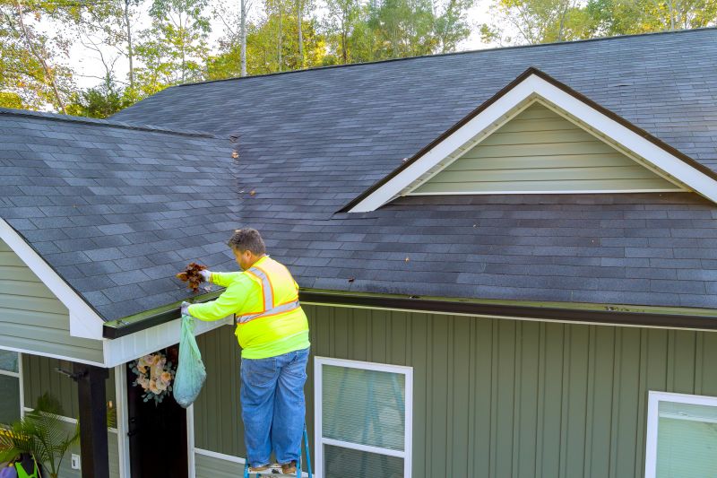 Handyman Roof Services